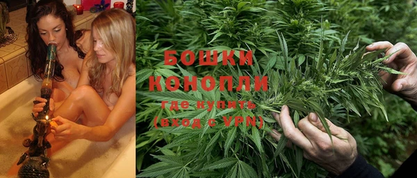 молекула духа Верхний Тагил