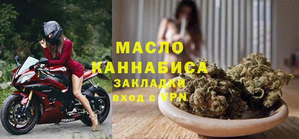 молекула духа Верхний Тагил
