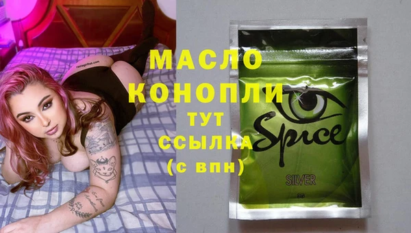 молекула духа Верхний Тагил